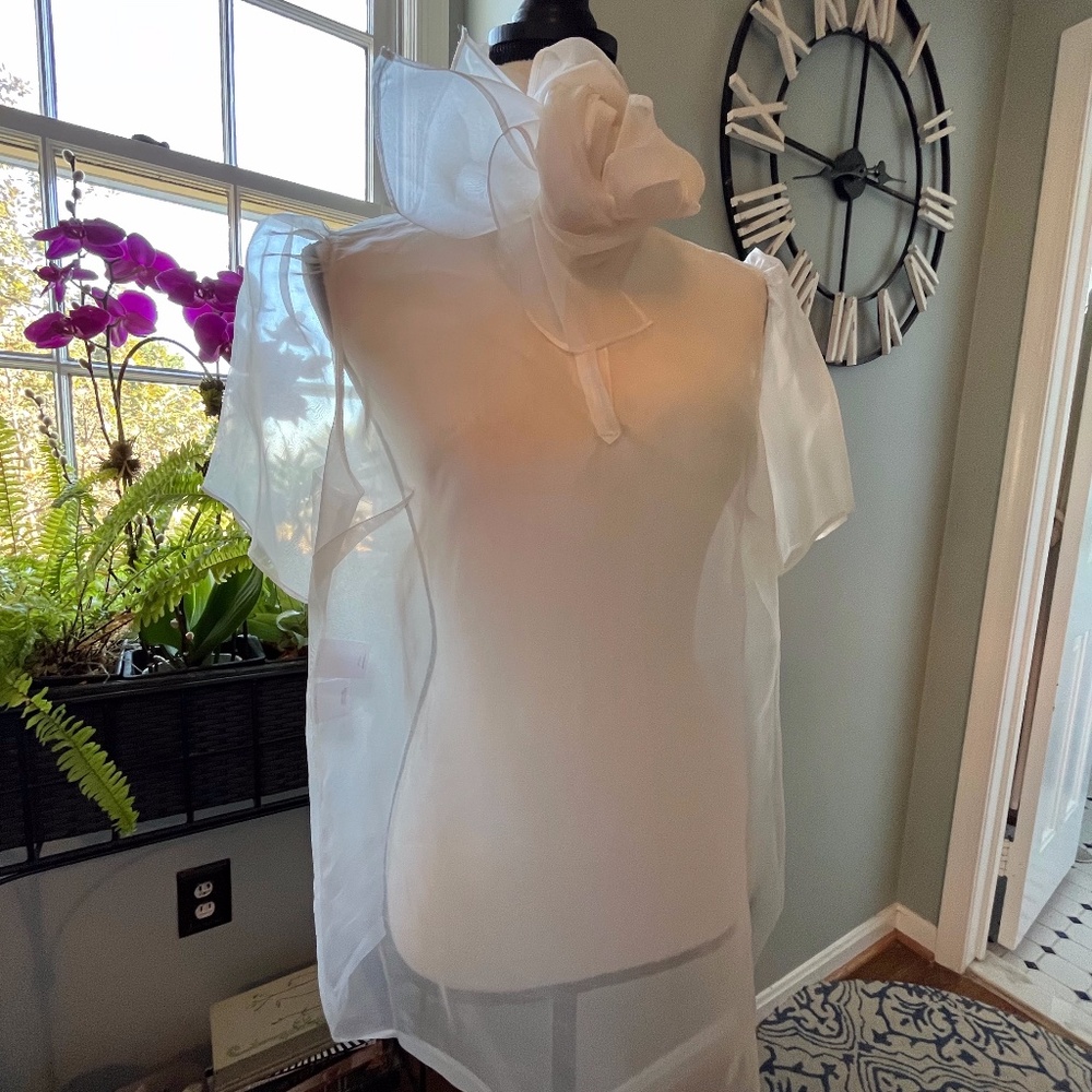 Silk chiffon blouse